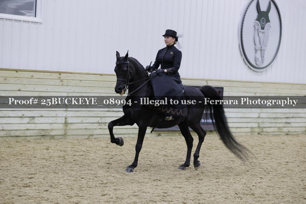 Proof Number 25BUCKEYE_08994