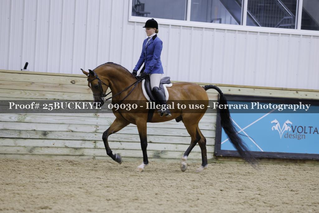 Proof Number 25BUCKEYE_09030