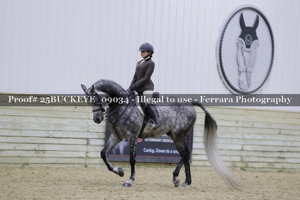 Proof Number 25BUCKEYE_09034