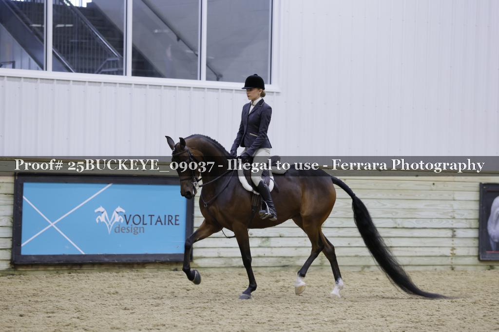 Proof Number 25BUCKEYE_09037
