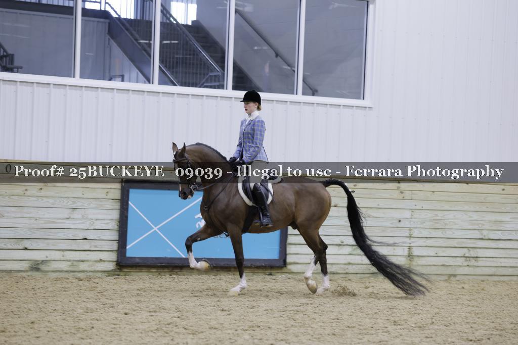 Proof Number 25BUCKEYE_09039