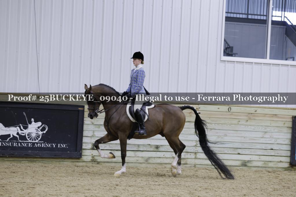 Proof Number 25BUCKEYE_09040
