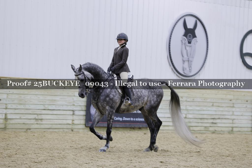 Proof Number 25BUCKEYE_09043