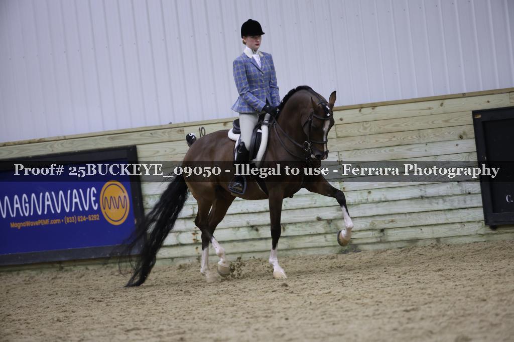 Proof Number 25BUCKEYE_09050