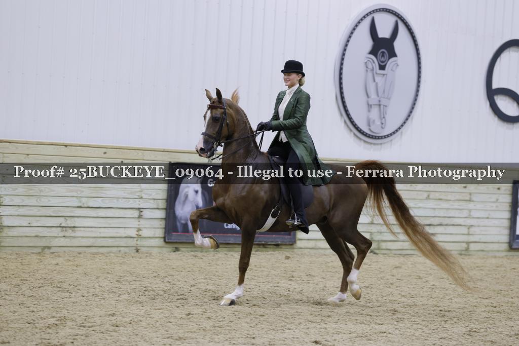 Proof Number 25BUCKEYE_09064