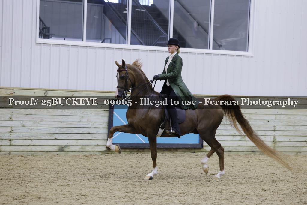 Proof Number 25BUCKEYE_09065