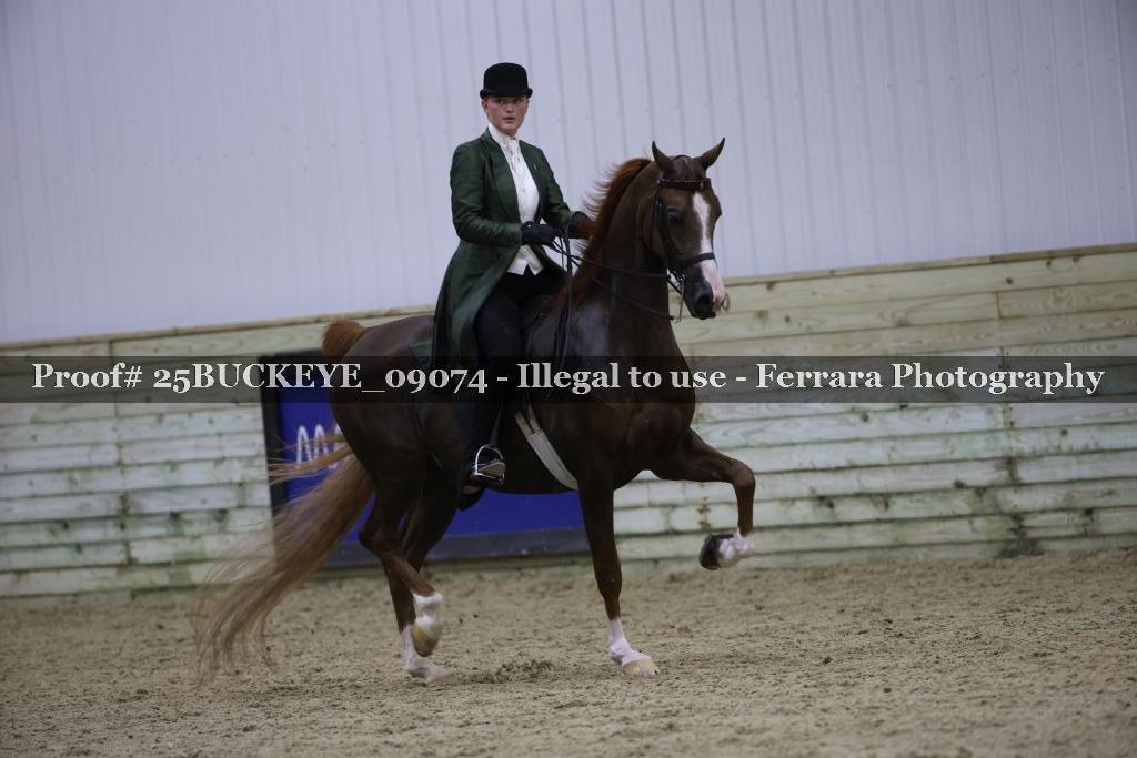 Proof Number 25BUCKEYE_09074
