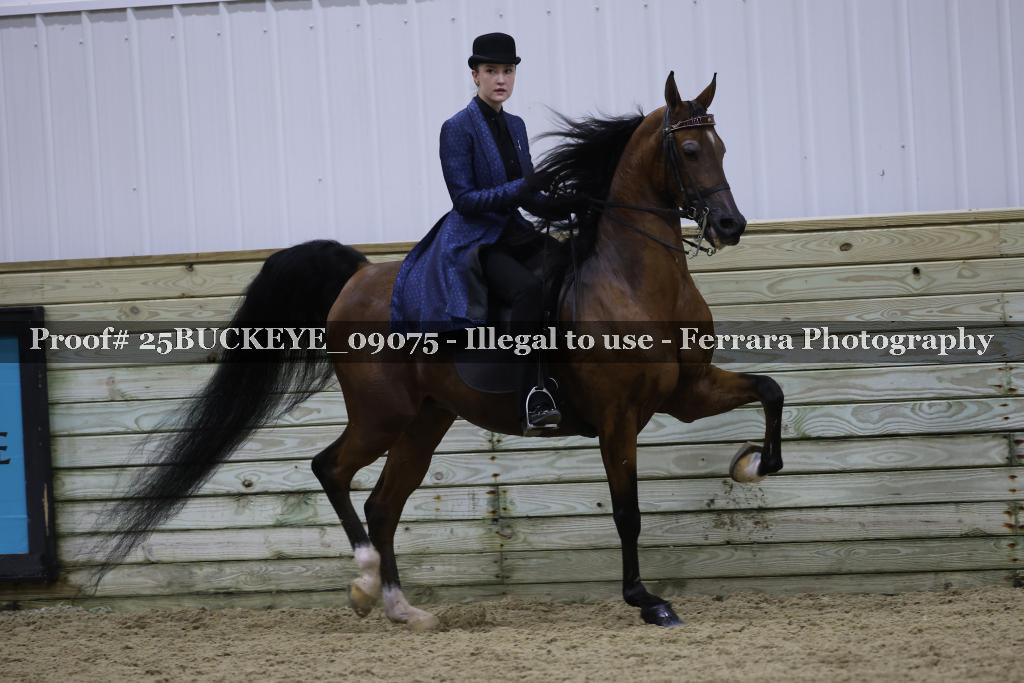 Proof Number 25BUCKEYE_09075