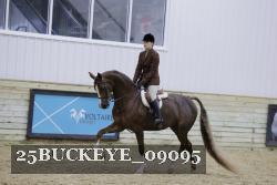 25BUCKEYE_09095 thumbnail