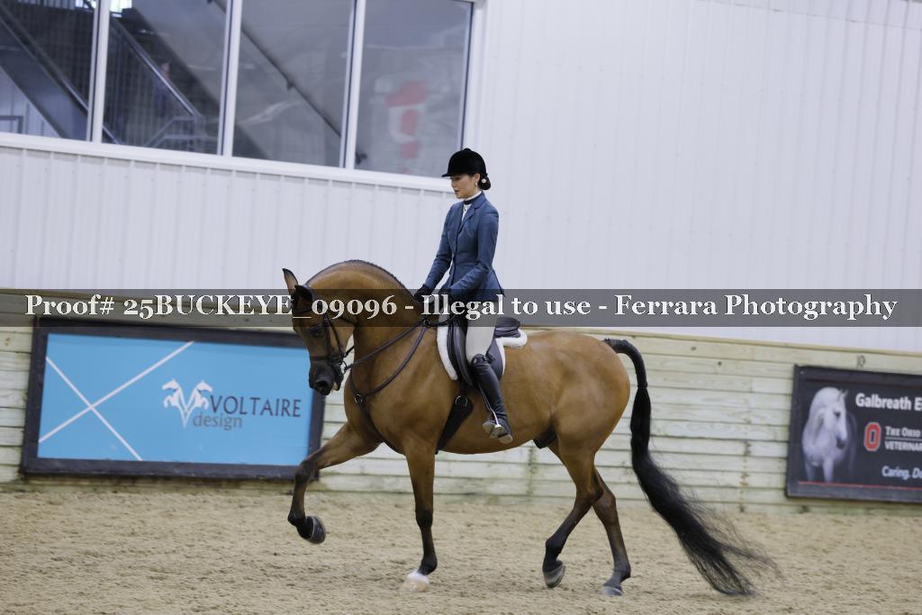Proof Number 25BUCKEYE_09096