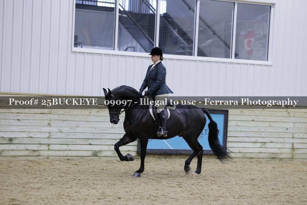 Proof Number 25BUCKEYE_09097