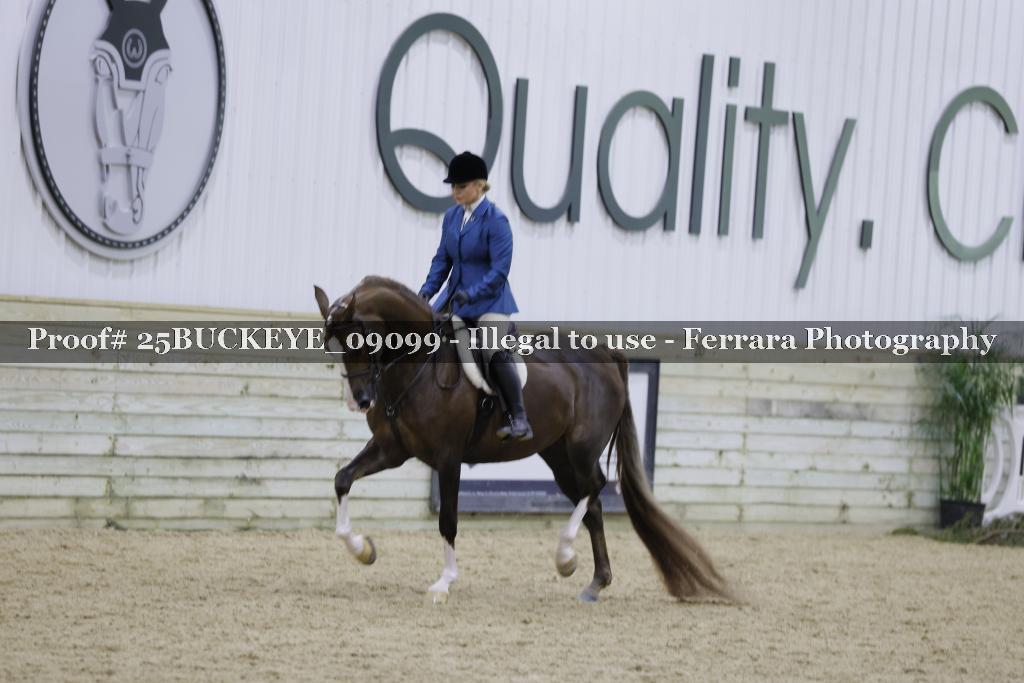 Proof Number 25BUCKEYE_09099