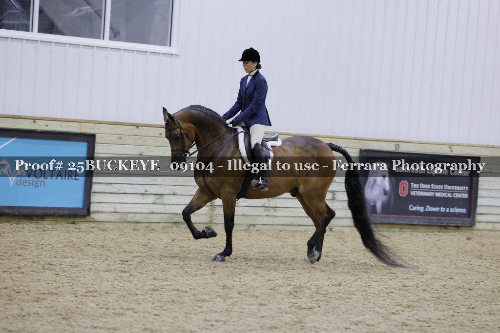 Proof Number 25BUCKEYE_09104