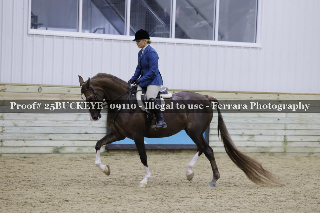 Proof Number 25BUCKEYE_09110