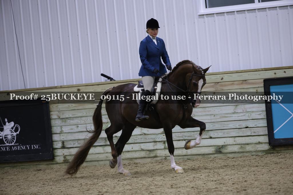Proof Number 25BUCKEYE_09115