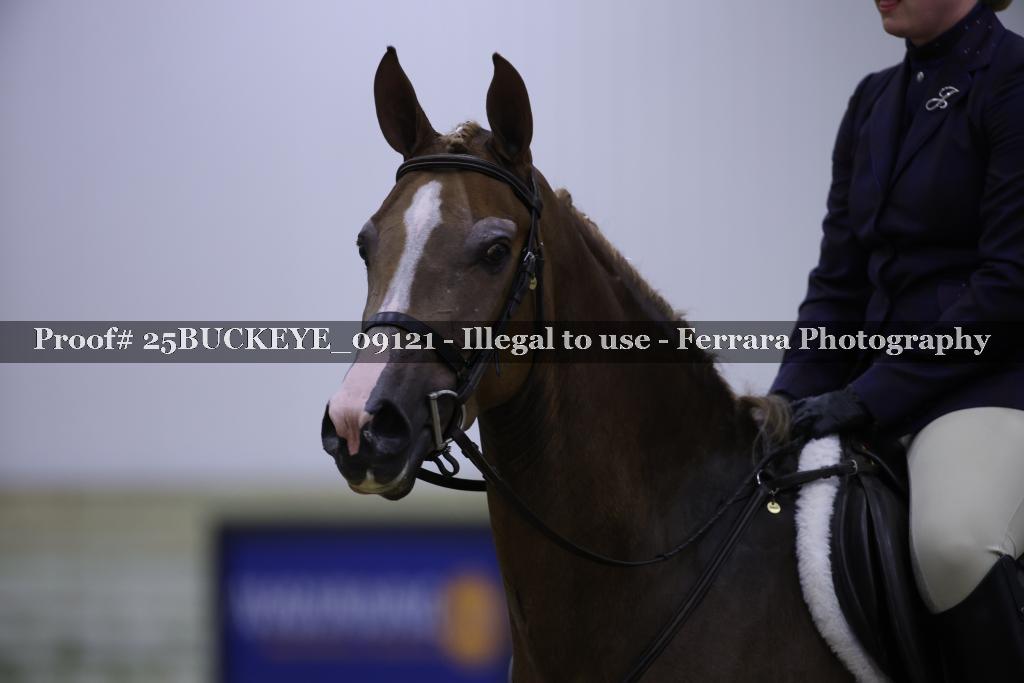 Proof Number 25BUCKEYE_09121