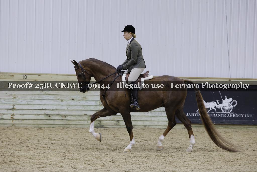 Proof Number 25BUCKEYE_09144