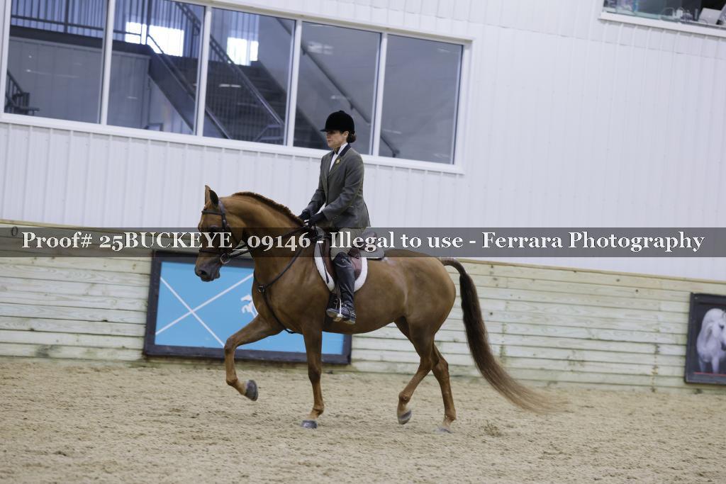 Proof Number 25BUCKEYE_09146