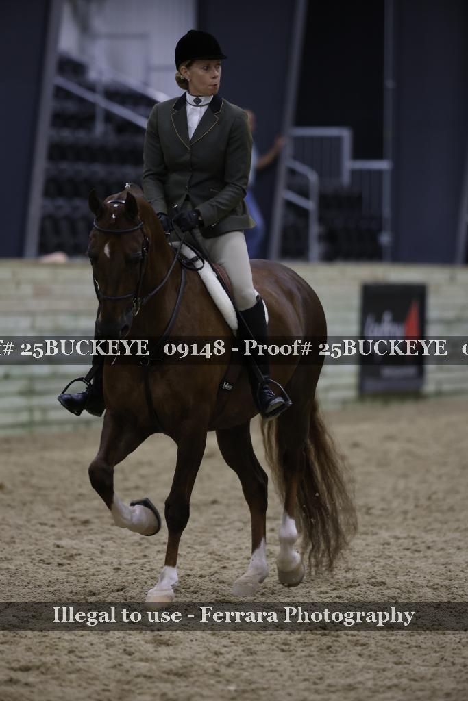 Proof Number 25BUCKEYE_09148