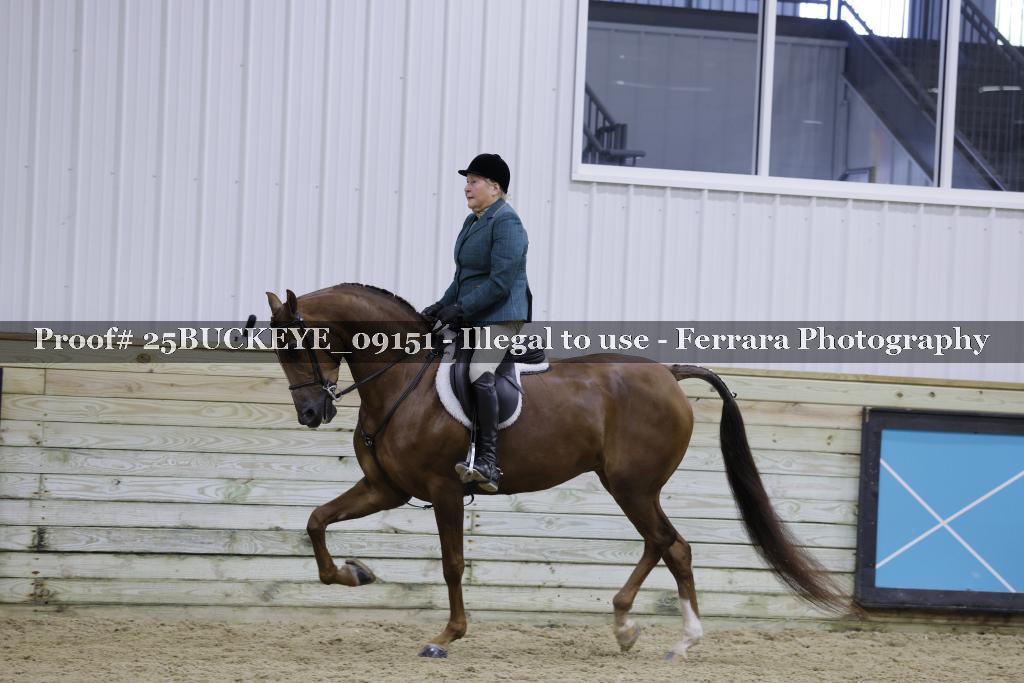Proof Number 25BUCKEYE_09151