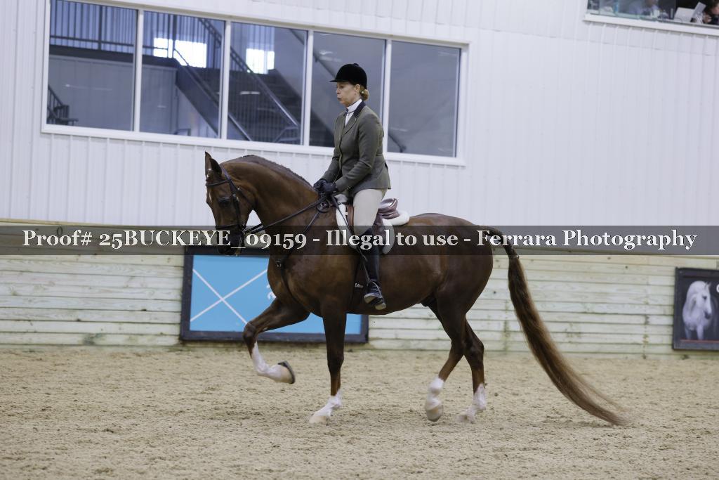 Proof Number 25BUCKEYE_09159