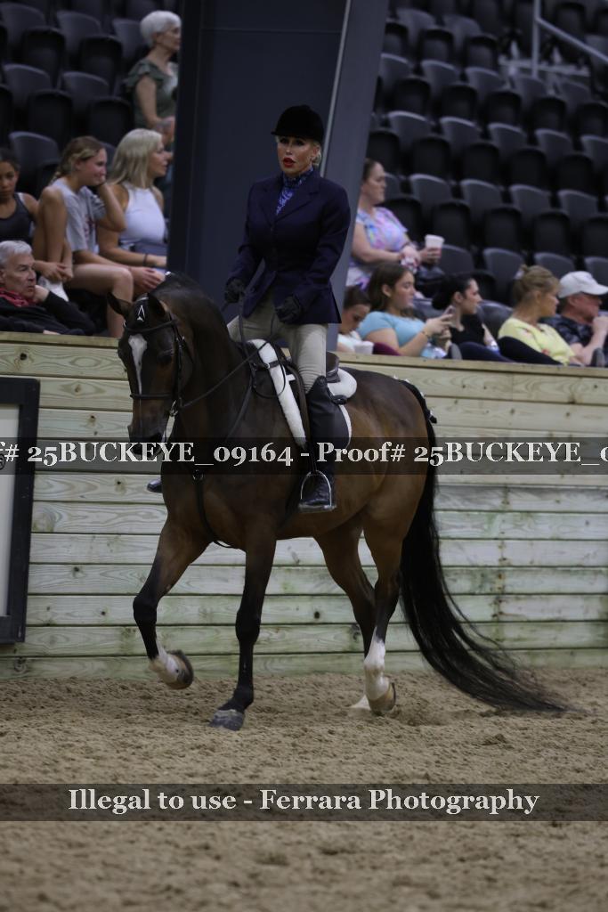 Proof Number 25BUCKEYE_09164
