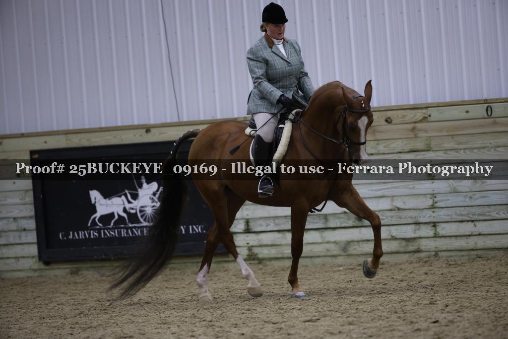 Proof Number 25BUCKEYE_09169