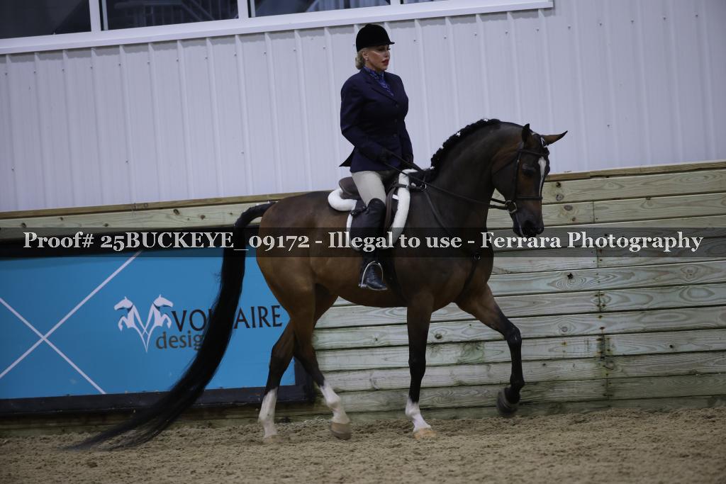 Proof Number 25BUCKEYE_09172