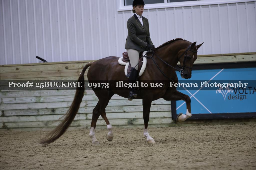 Proof Number 25BUCKEYE_09173
