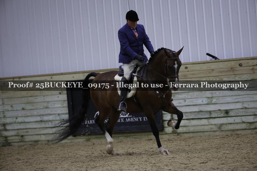 Proof Number 25BUCKEYE_09175