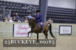 25BUCKEYE_09185 thumbnail
