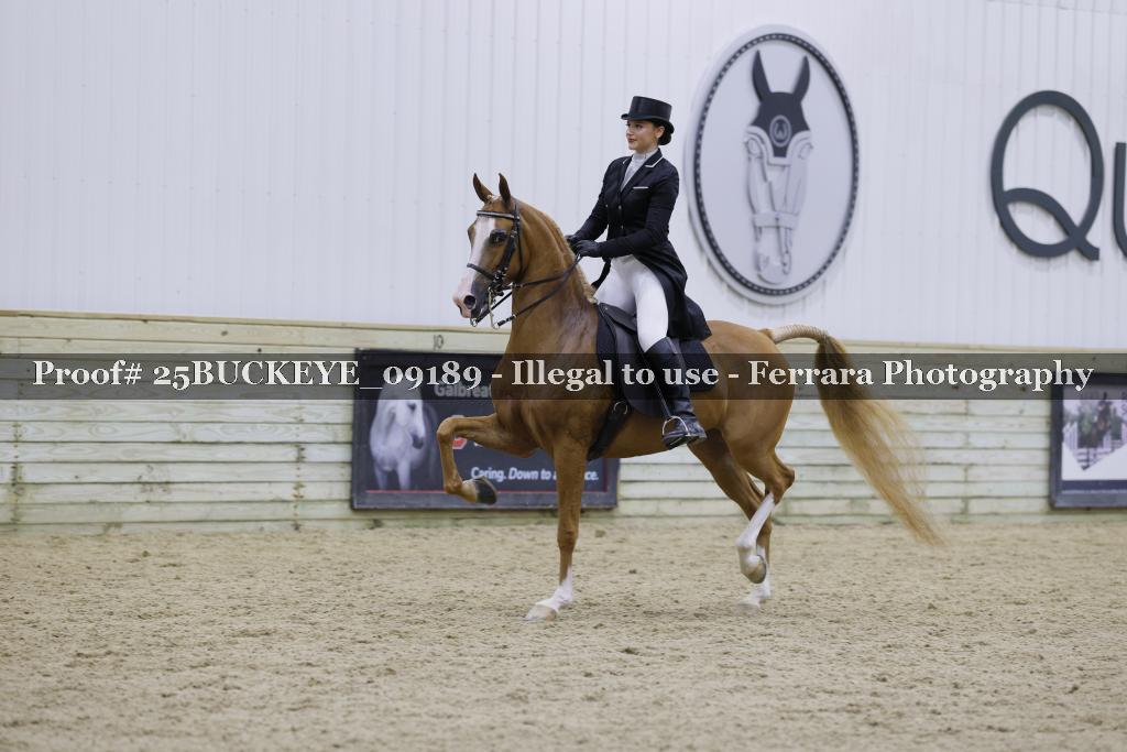 Proof Number 25BUCKEYE_09189