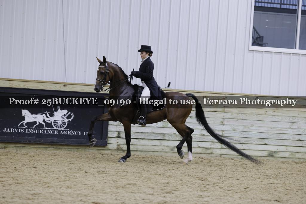 Proof Number 25BUCKEYE_09190
