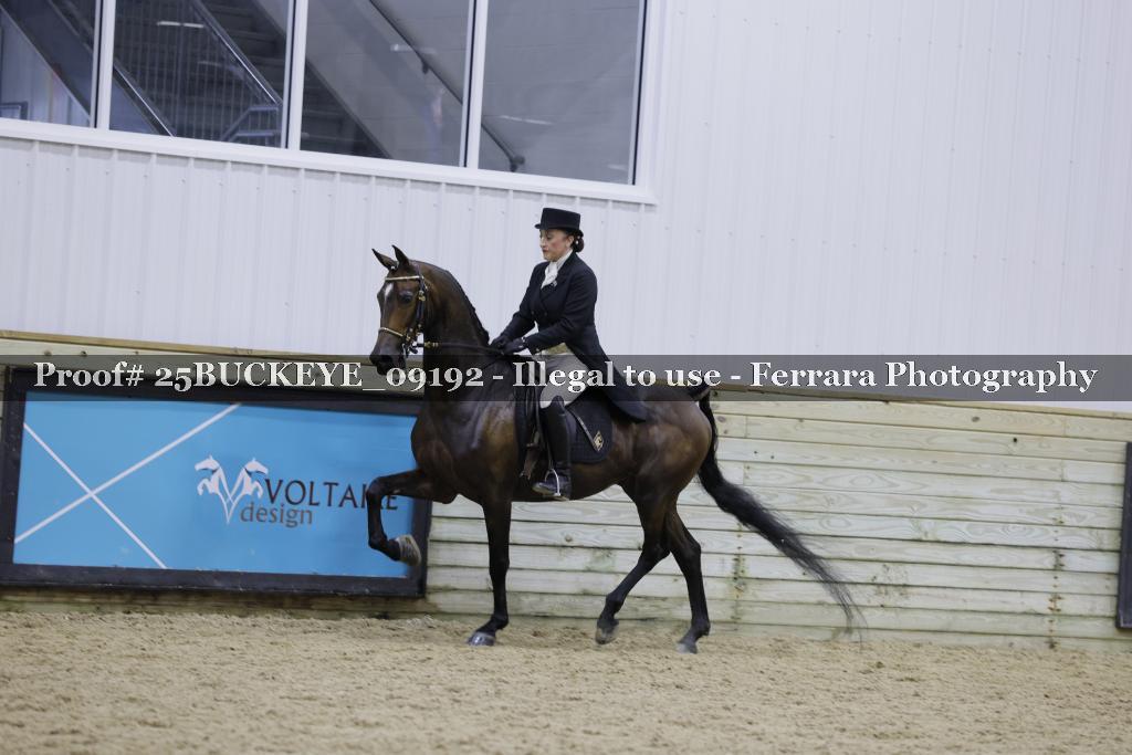 Proof Number 25BUCKEYE_09192