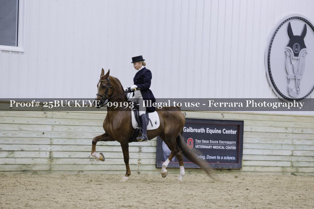 Proof Number 25BUCKEYE_09193