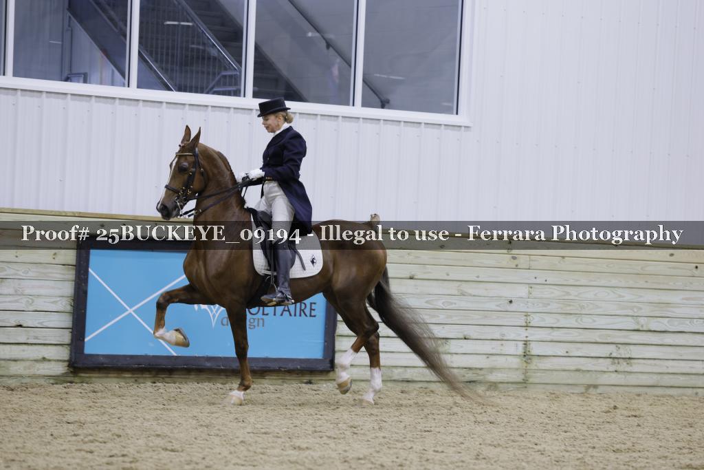 Proof Number 25BUCKEYE_09194