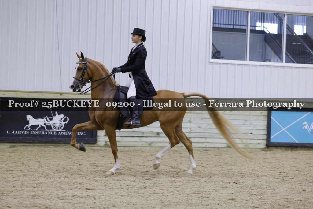 Proof Number 25BUCKEYE_09200