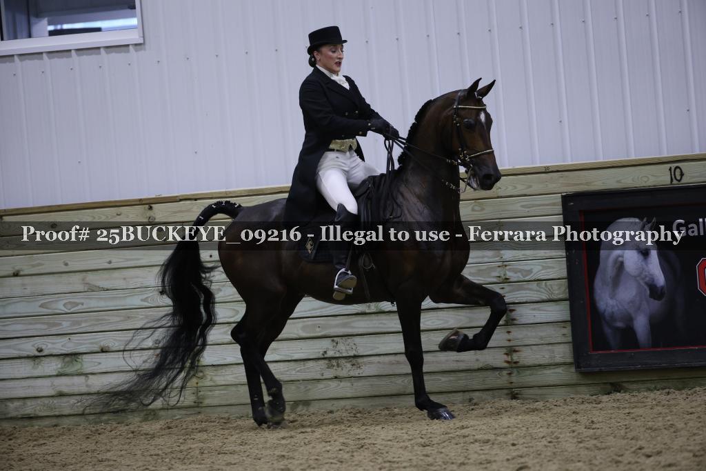 Proof Number 25BUCKEYE_09216