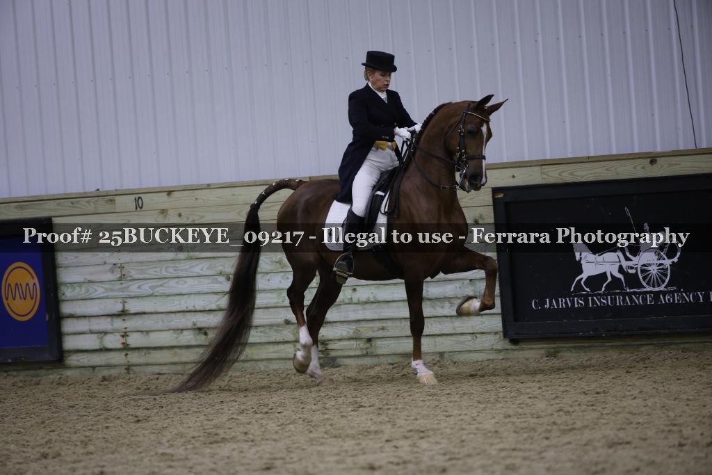 Proof Number 25BUCKEYE_09217