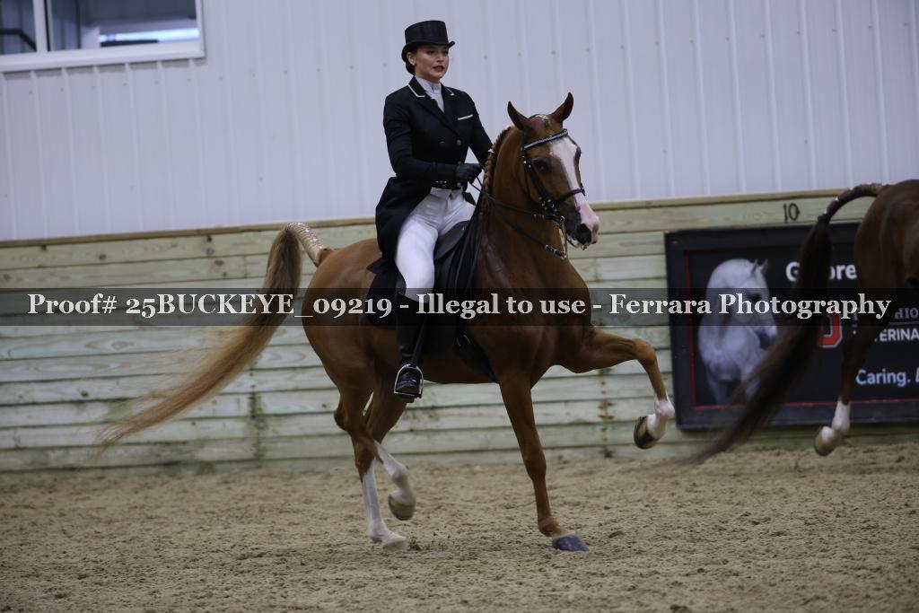 Proof Number 25BUCKEYE_09219