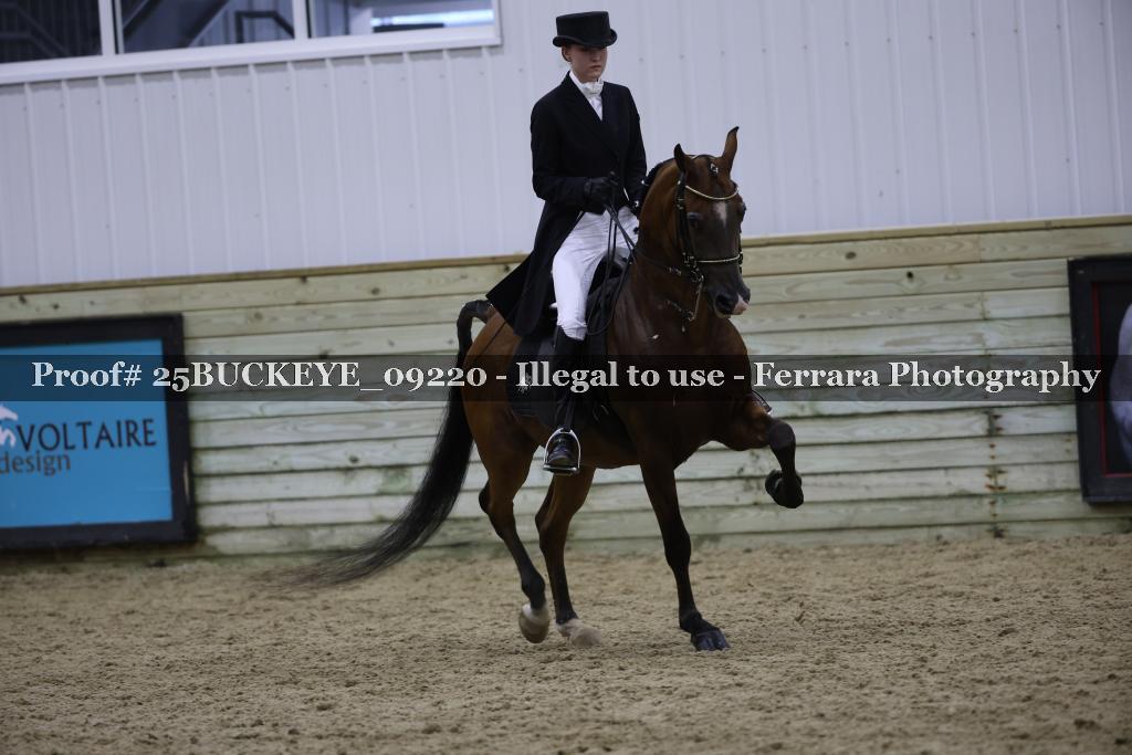 Proof Number 25BUCKEYE_09220