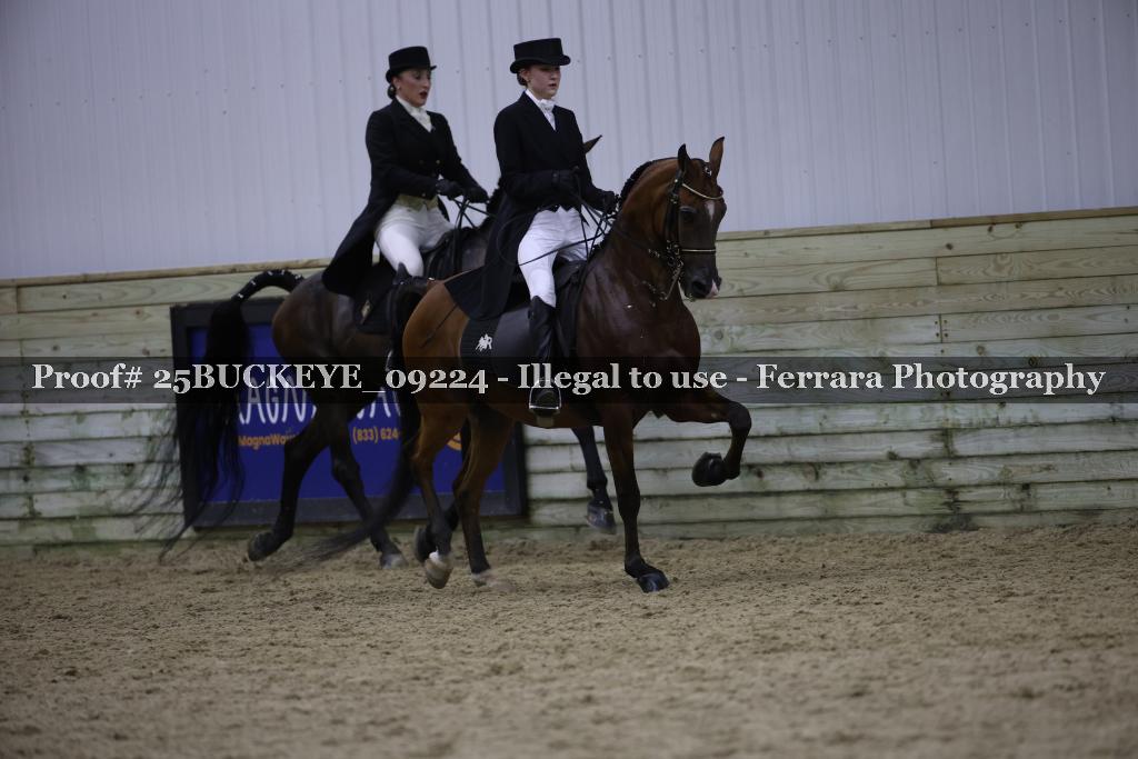 Proof Number 25BUCKEYE_09224