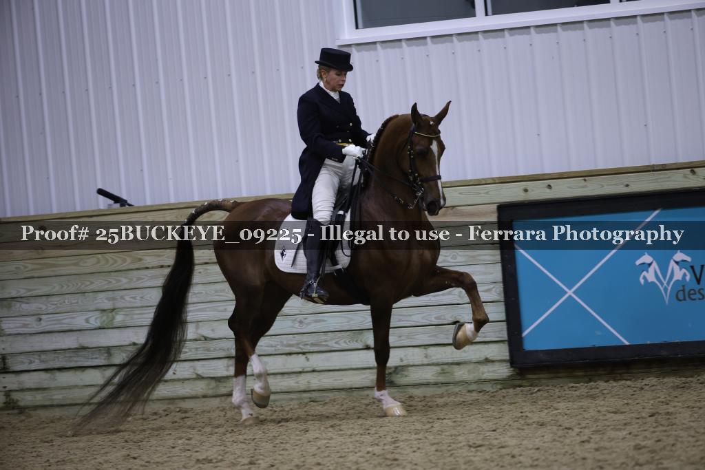 Proof Number 25BUCKEYE_09225
