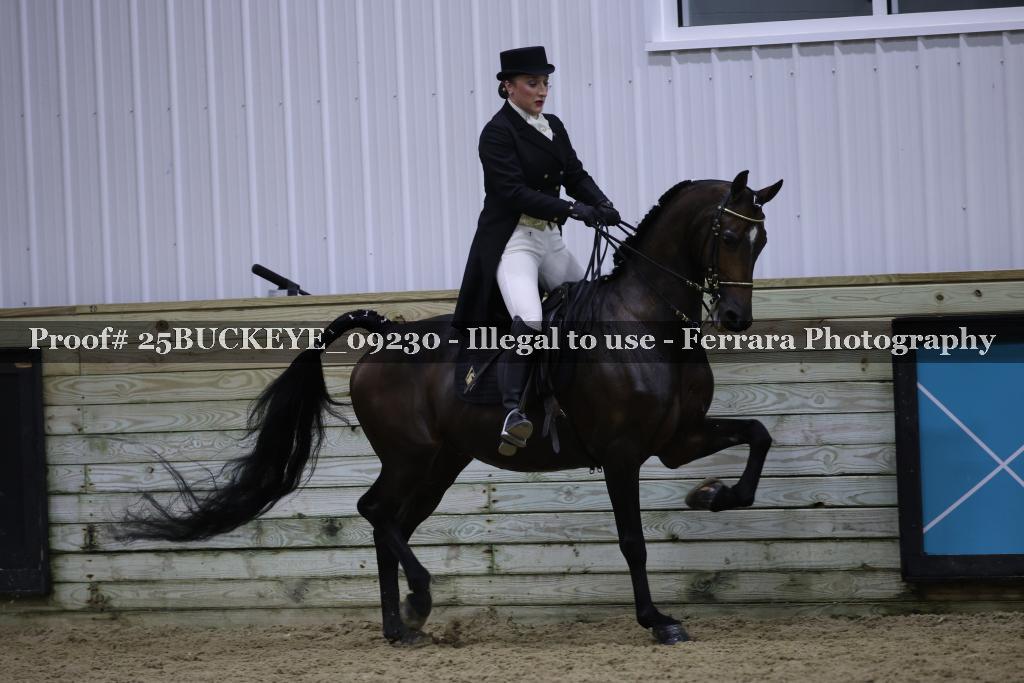 Proof Number 25BUCKEYE_09230