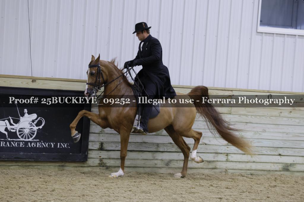 Proof Number 25BUCKEYE_09252