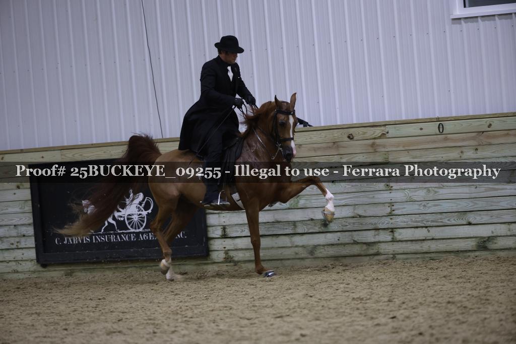 Proof Number 25BUCKEYE_09255