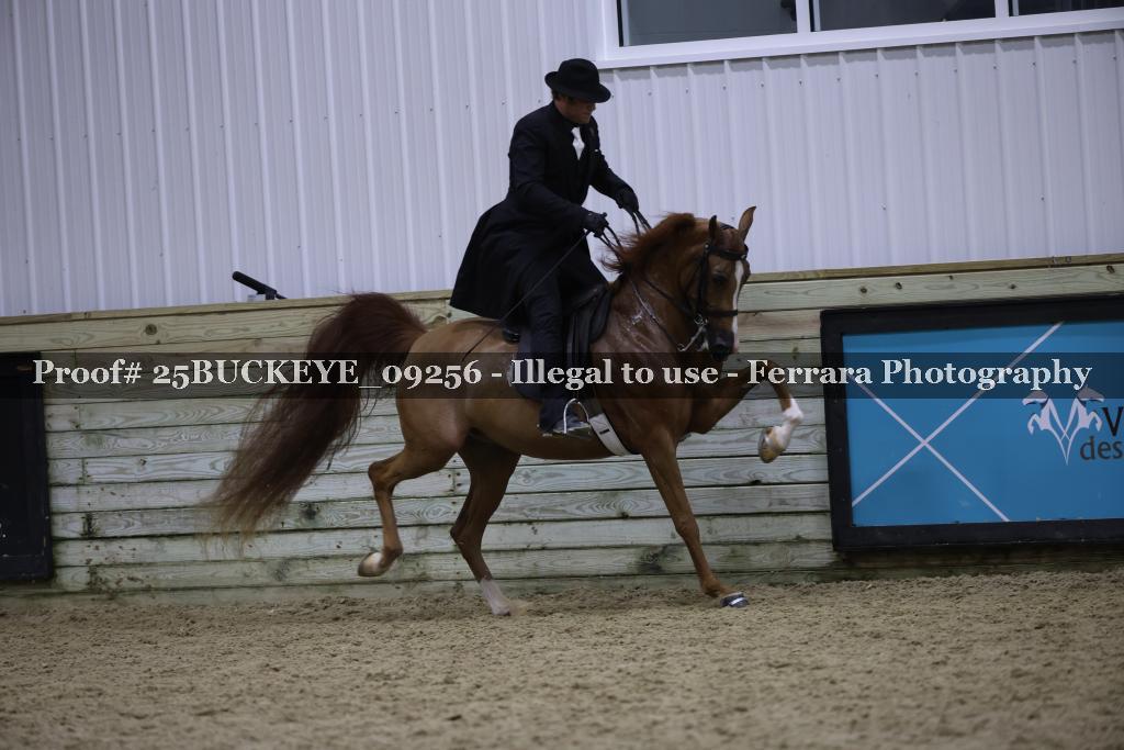 Proof Number 25BUCKEYE_09256