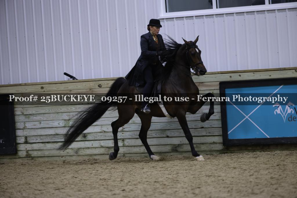 Proof Number 25BUCKEYE_09257