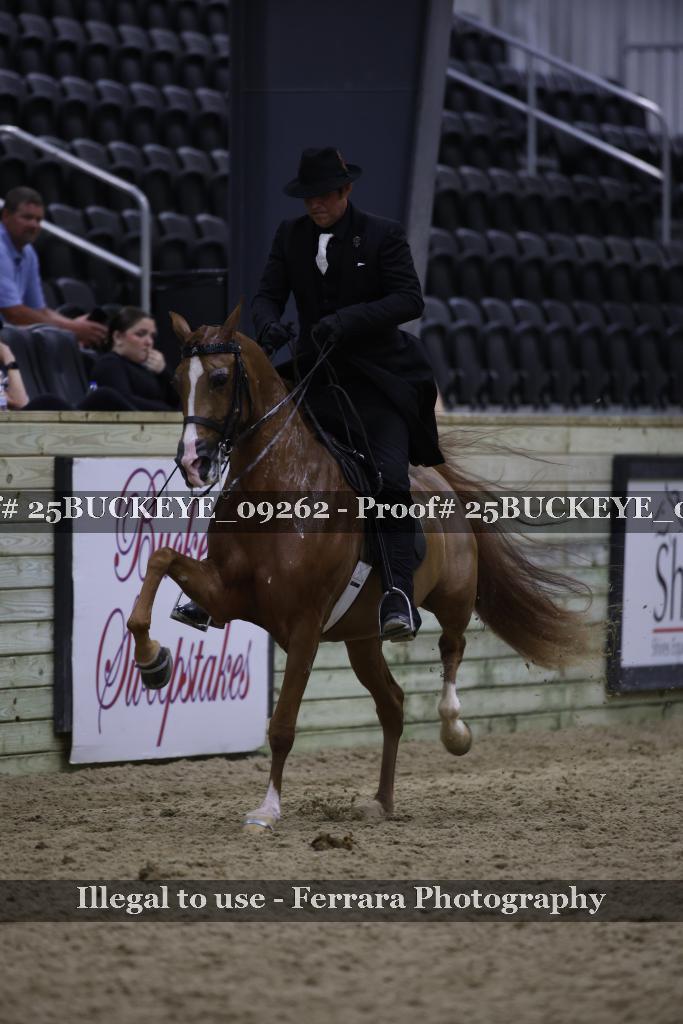 Proof Number 25BUCKEYE_09262