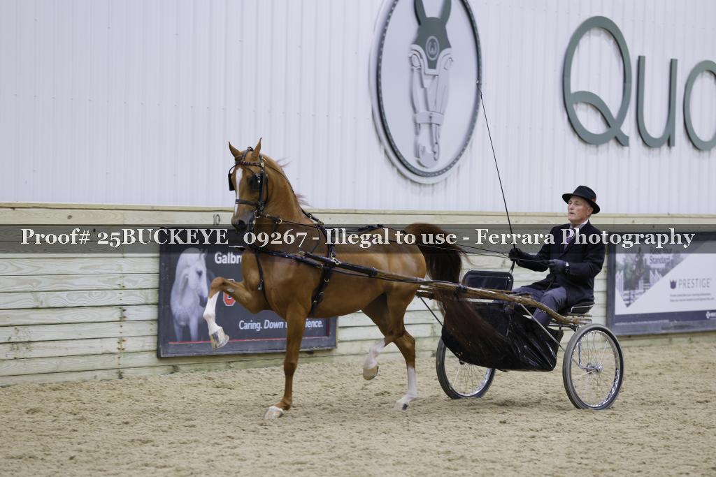 Proof Number 25BUCKEYE_09267